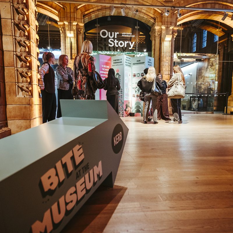 Giant arrow prop colourful graphics natural history museum kerb food